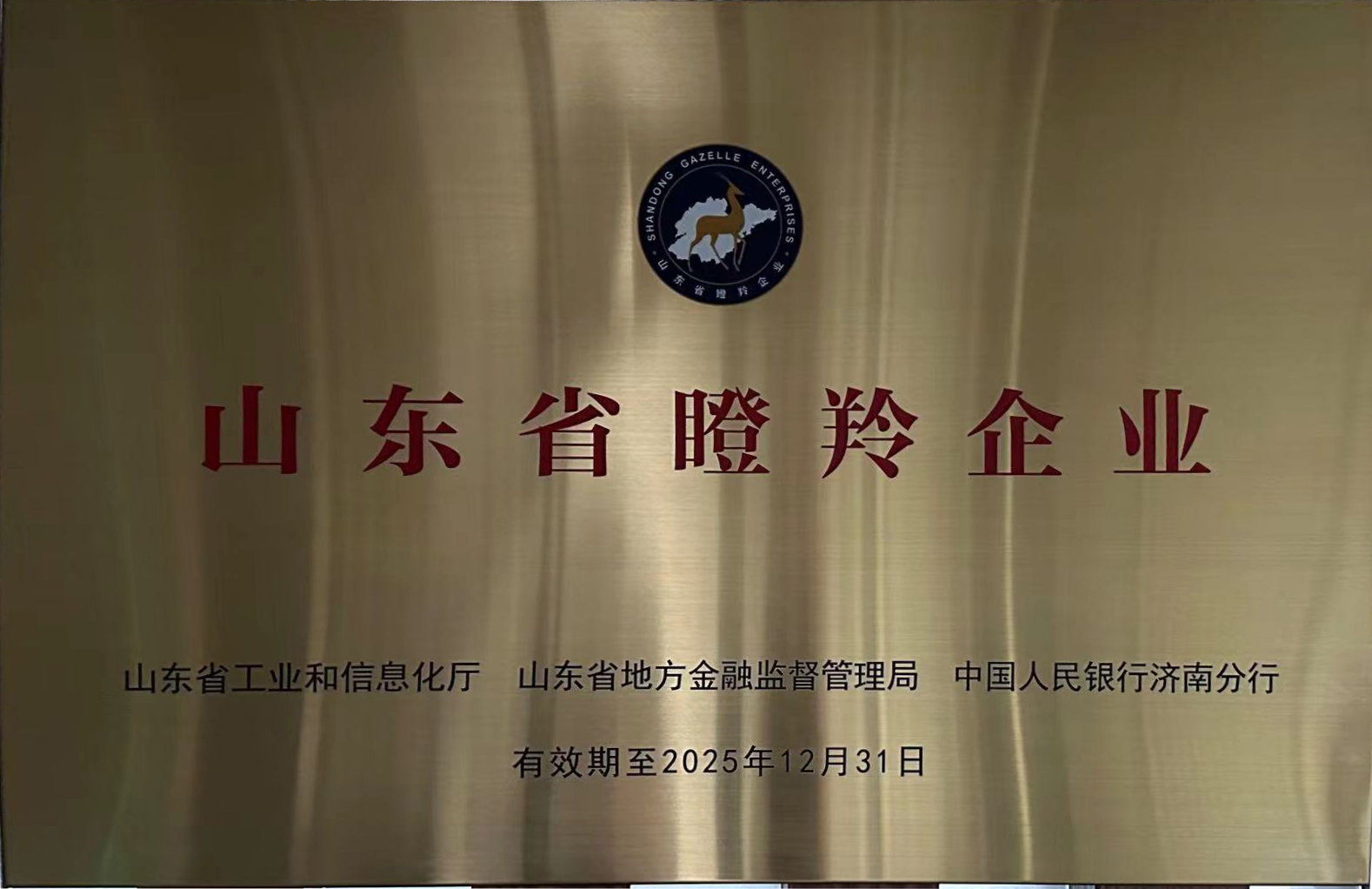 Shandong Gazelle Enterprise